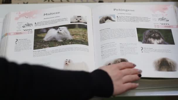 Χέρι Μιας Γυναίκας Ξεφυλλίσετε Ένα Βιβλίο Για Σκυλιά Σκυλί Πληροφορίες — Αρχείο Βίντεο