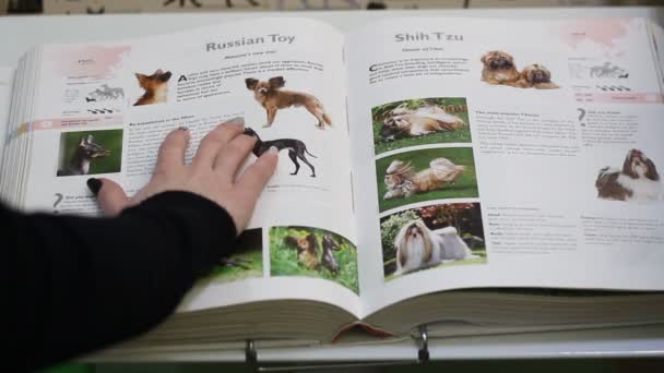 Mâna Unei Femei Trece Printr Carte Despre Câini Informații Despre — Videoclip de stoc