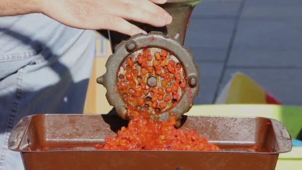 Kırmızı Biber Mekanik Taşlama — Stok video