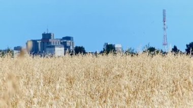 altın alan tahıl arkasında Sanayi Bölgesi