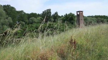 1 2'de antik Gözcü Kulesi çim bitki örtüsü arasında büyümüş terk