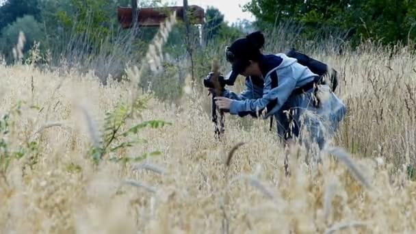 Young Woman Camera Monopod Field Grain — Stock Video