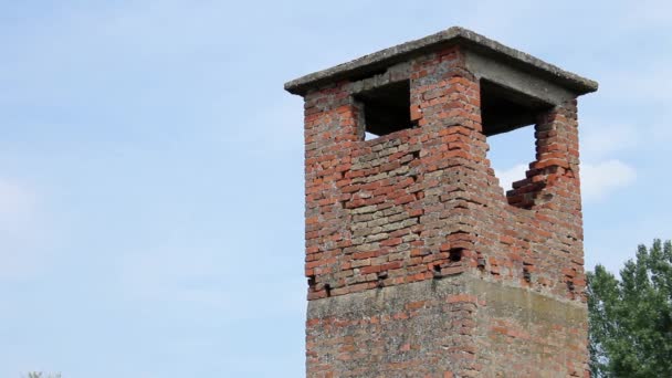 Oude Verlaten Uitkijktoren Begroeid Onder Gras Vegetatie — Stockvideo