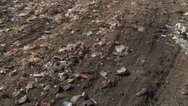 Pessoas Pobres Aterro Sanitário Com Sacos Para Coletar Lixo Vojvodina — Vídeo de Stock