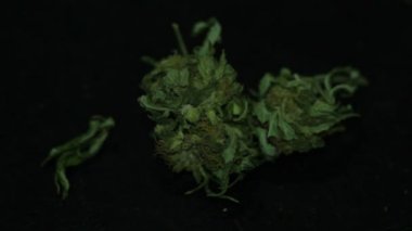 Yüksek kaliteli esrar esrar