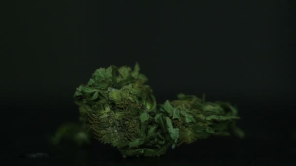 Cannabis Cannabis Haute Qualité — Video