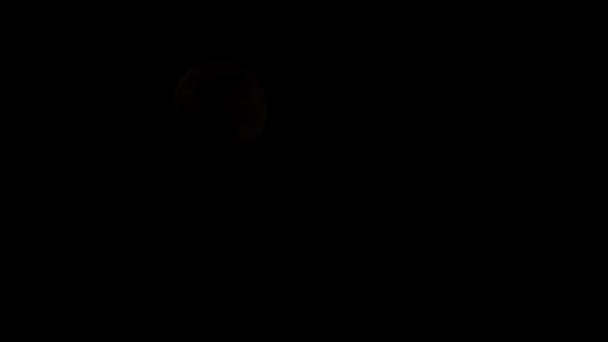 Яркая Луна Ночи — стоковое видео