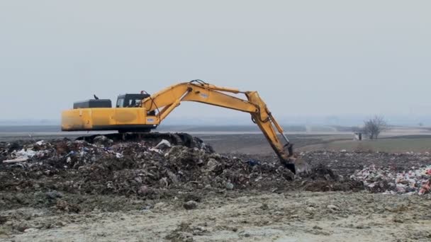 2在1挖掘机上的垃圾填埋场 — 图库视频影像