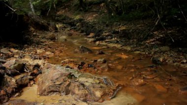 Creek 