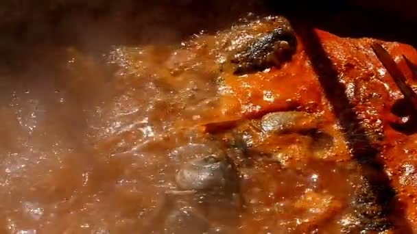 Rote Fischsuppe Wasserkocher Zeitlupe — Stockvideo