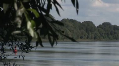 söğüt ağacı tarafından diğer tarafta yoğun orman ve nehir