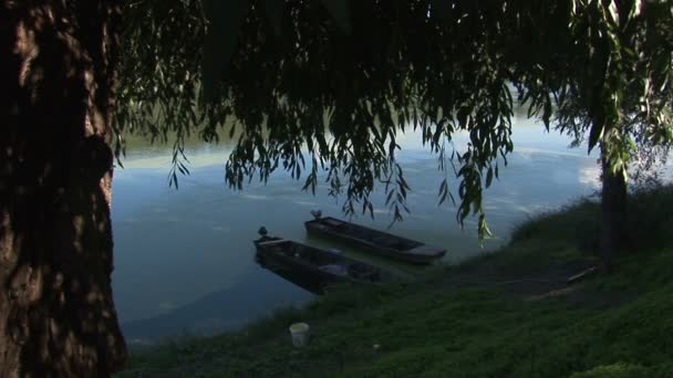 Nehir Kenarında Söğüt Ağacı Üzerinde Iki Balıkçı Tekneleri — Stok video