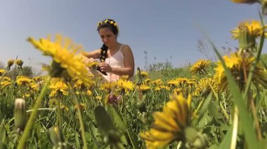 Genç bir kadın karahindiba alanında oturur ve onlara onun örgü sopa