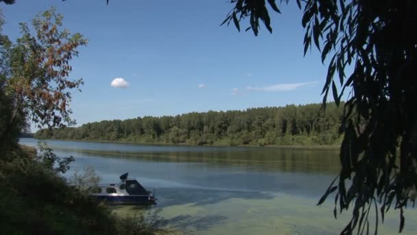 Łódź Brzegu Rzeki Otoczeniu Lasu — Wideo stockowe