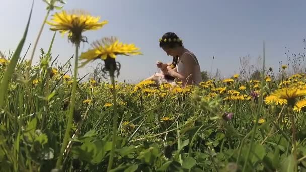 Ung Kvinna Sitter Ett Fält Maskrosor Och Sticker Dem Sin — Stockvideo