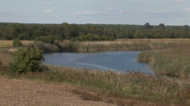  Nehir etrafında 2 in 1 yeşil doğa