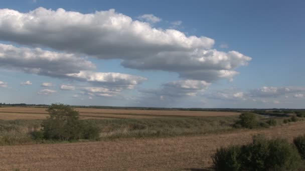 秋の平野の上の雲 青い空 — ストック動画