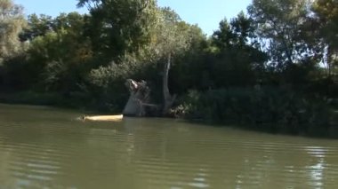 Bir tekne yelken nehrin süre görünümünden