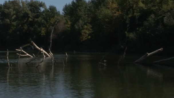 Blick Von Einem Boot Während Der Fahrt Flussabwärts — Stockvideo