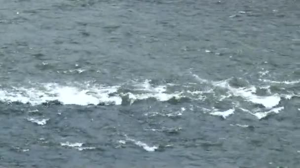 Вітер Річці Створює Хвилі — стокове відео