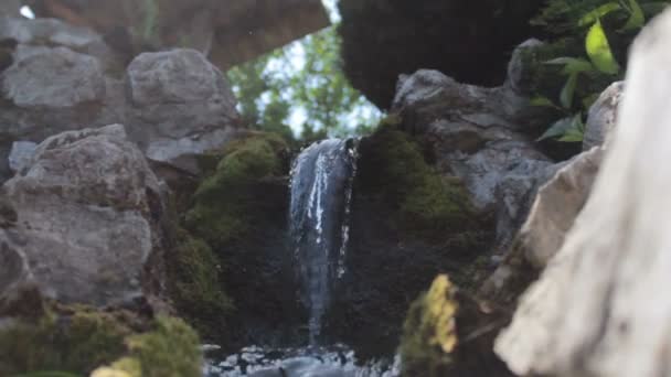 Mały Strumień Naturze — Wideo stockowe