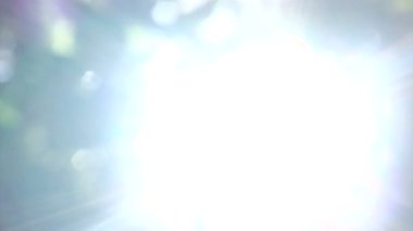 Ormanda güneş yakınlaştırma