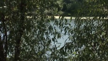 Çevreleyen dalları aracılığıyla nehir zoom