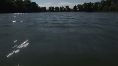 tekne nehir Gezinti görünümünü-Tisza Nehri