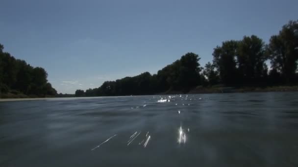 Voile rapide à travers la rivière entourée de forêts par une journée ensoleillée 