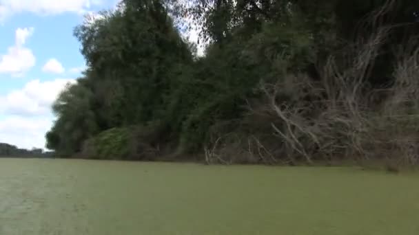 Vista Orilla Del Bosque Del Río Desde Barco Vídeo Acelerado — Vídeo de stock