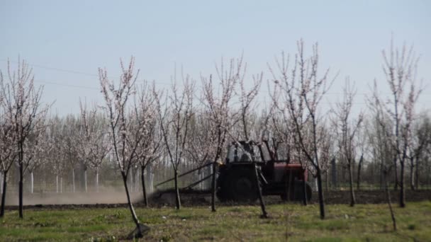 春の赤いトラクター栽培場 — ストック動画