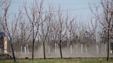 Meyve onun alanları plowing çiftçi