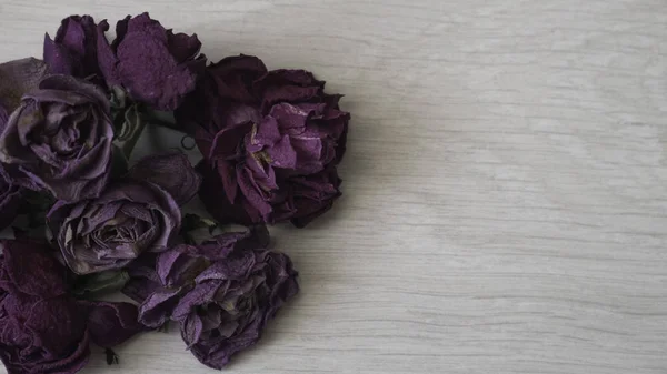 Mor gül Beyaz ahşap zemin üzerinde kurutulmuş