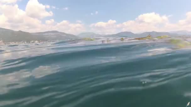 Schoonheid Van Dde Van Baai Van Kotor Boka Kotor Montenegro — Stockvideo