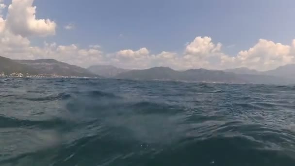 Belleza Bahía Kotor Boka Kotorska Montenegro Una Vista Desde Superficie — Vídeos de Stock