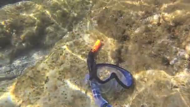 Flooded Diving Mask Sinks Bottom Sea — Stock Video