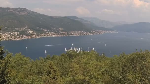 Segelbåtar Vid Horisonten Bay Kotor Adriatiska Havet Montenegros Kust — Stockvideo