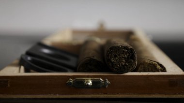 Sigara ve Puro kesiciler humidor içinde