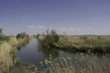 Mavi nehir çevresindeki doğa 