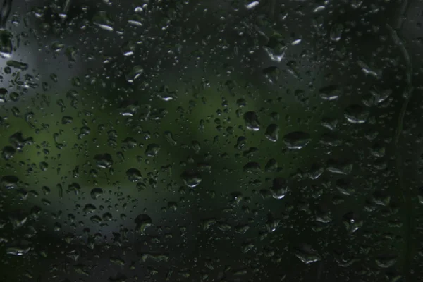 Rain drops on window with green nature in background.