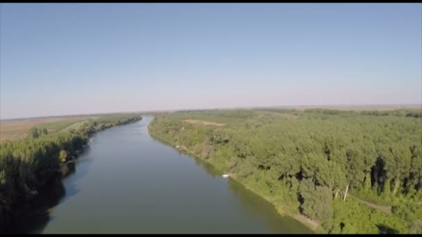 Fiume Tisza Foresta Che Circonda Drone Sparato — Video Stock