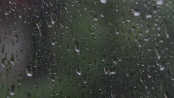 Chuva Cai Janela Durante Tempestade — Vídeo de Stock
