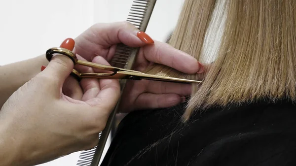 Primer Plano Mano Del Esteticista Con Peine Cortando Pelo Mujer — Foto de Stock