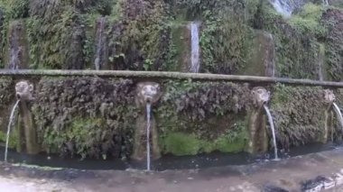 Tivoli İtalya - Kasım 2018.: Tivoli'deki Kardinal d'Este villasının bahçesindeki çeşme. - Kasım 2018