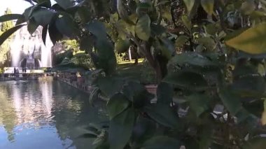 Fontane del Nettuno e dell' Organo, Tivoli'deki Villa D'este'de