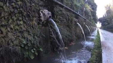 Tivoli İtalya - Tivoli Kardinal d'Este villabahçesinde Çeşme. 