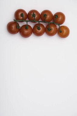 Tüm grup kırmızı domatesler gri arka planda izole edilmiş yeşil dallı.. 