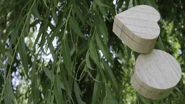 Dos Cajas Madera Forma Círculo Corazón Unidos Las Ramas Del —  Fotos de Stock