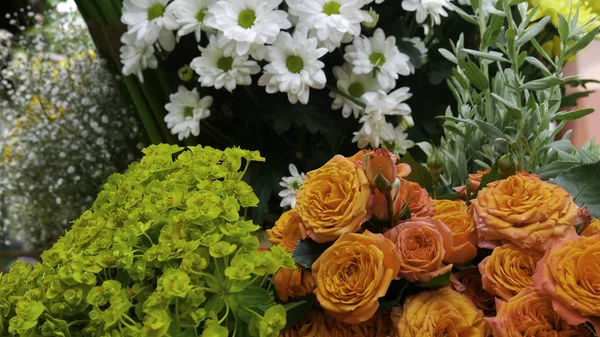 Krásné Jarní Květiny Květinářství — Stock fotografie
