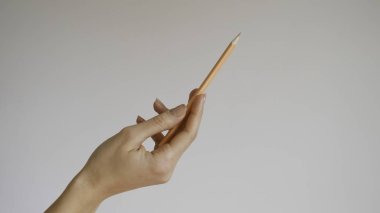 Ahşap renkli kalem tutan izole kadın eli 